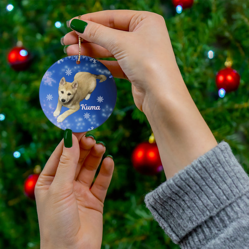 Personalized Pet Christmas photo Ornament
