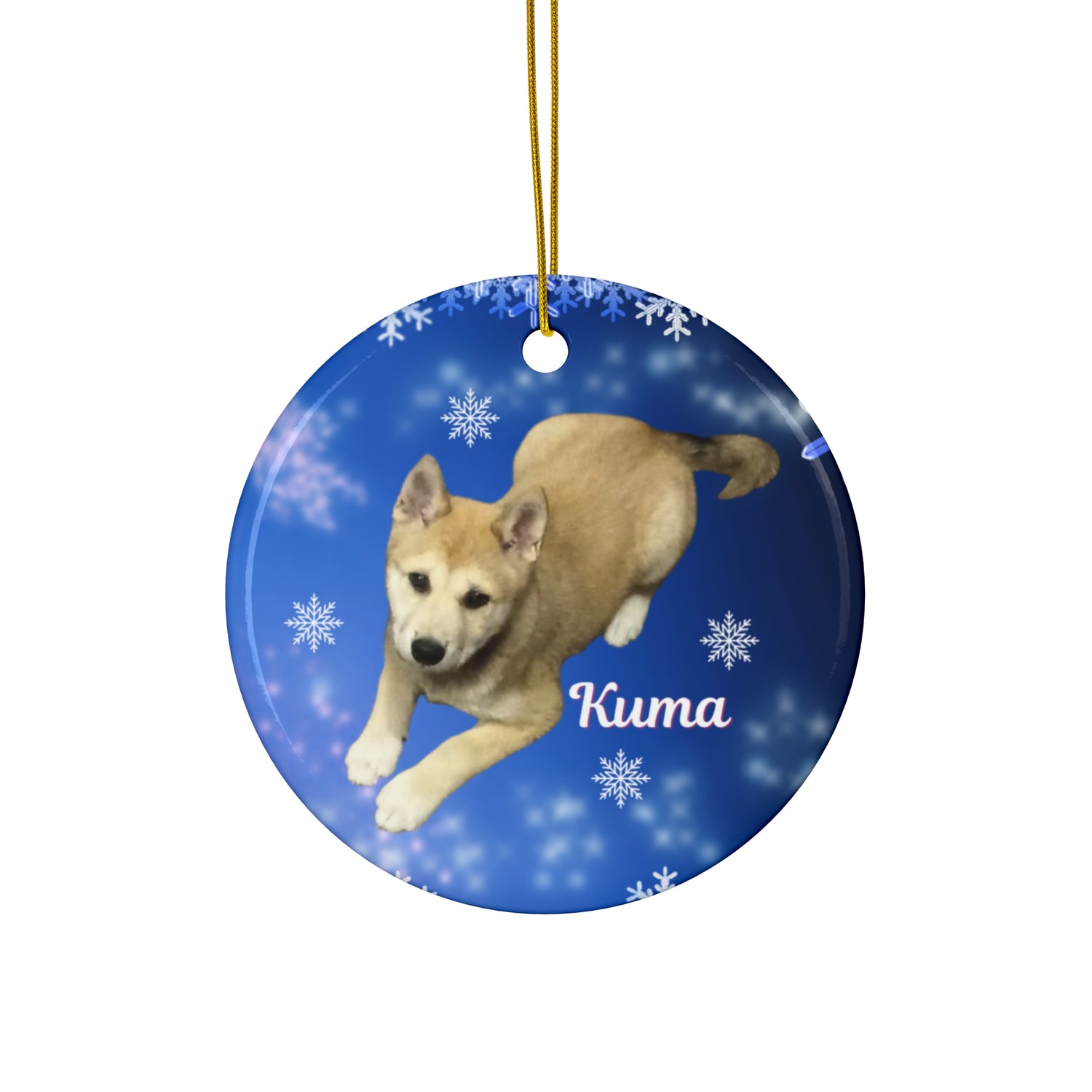 Personalized Pet Christmas photo Ornament